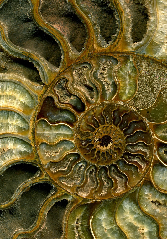 Gepersonaliseerde Meditatie: 15 of 30 minuten